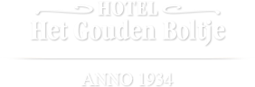 Website logo van Het Gouden Boltje